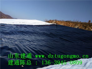 专业高效，品质信赖 探访江西复合土工布工厂直销与山东建通建材加工服务