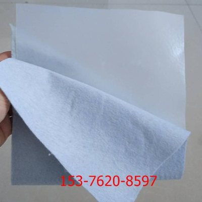 大安复合土工布 实业集团 致力于土工布行业的创新与卓越